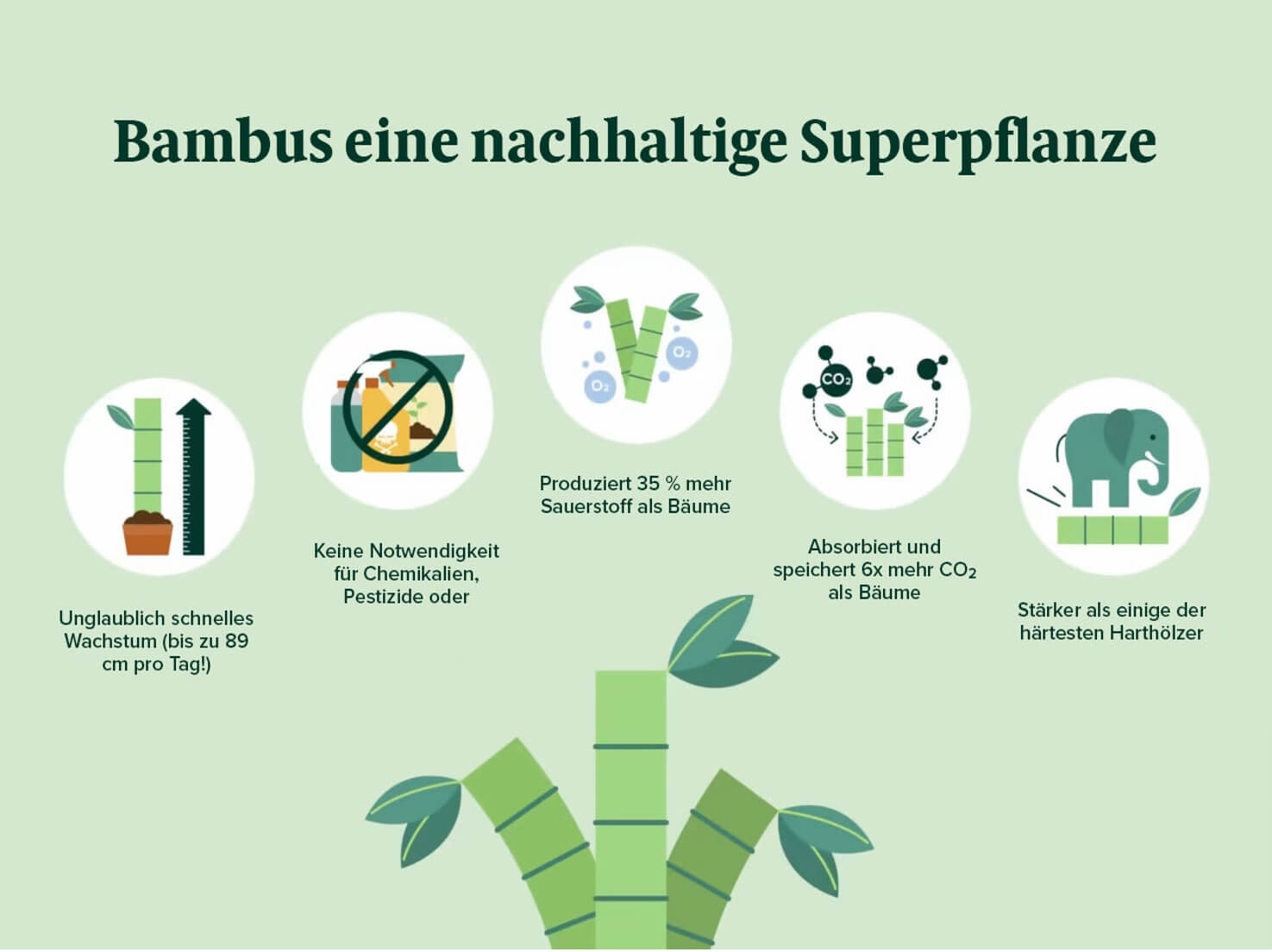 Bambusmöbel – Warum der Hype um die Nachhaltigkeit echt ist